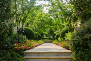 03J012-2 环境景观-绿化种植设计(最新下载）