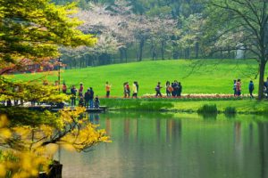 GB51192-2016 公园设计规范（最新规范）