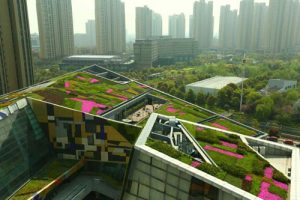 屋顶绿化设计规范（最新规范）