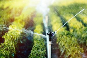 节水灌溉工程技术标准（GB T 50363-2018）（最新规范）