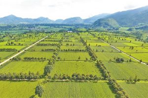 《全国高标准农田建设总体规划》（最新规范）