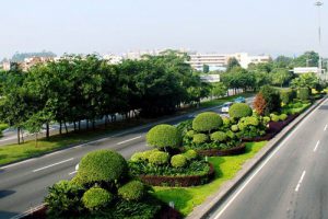 城市道路绿化规划与设计规范（最新规范）