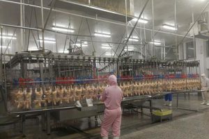 GB51219-2017 禽类屠宰与分割车间设计规范（最新规范）