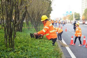 CJJT237-2016 园林行业职业技能标准（最新规范）