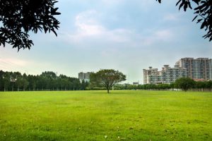 CJJT85-2017 城市绿地分类标准（最新规范）