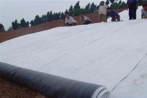 CECS457-2016 钠基膨润土防水毯应用技术规程（最新规范）