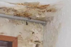 JGJT371-2016 非烧结砖砌体现场检测技术规程（最新规范）