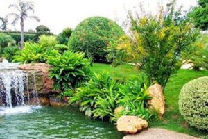 CJT512-2017 园林植物筛选通用技术要求（最新规范）