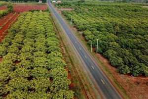 GBT51224-2017 乡村道路工程技术规范（最新规范）