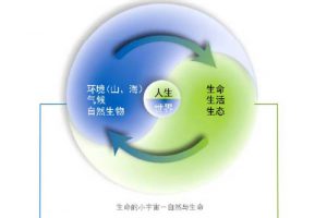 大连（珠江）国际生命健康项目总体概念性规划设计方案（健康养生、康养地产）