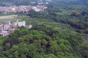 广州市村庄风貌提升与微改造设计指引（穗国土规划字）