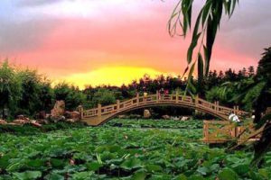 田园公社景观改造规划设计