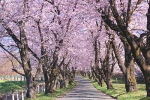 广州佳兆业小坪村发出