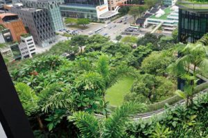 广州佳兆业小坪村