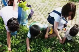 田园公社张湾水乡景观规划设计