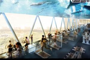 深圳市白石州村旧改概念规划