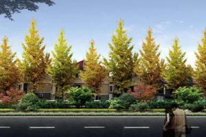 安吉横坞山美丽乡村旅游策划及规划