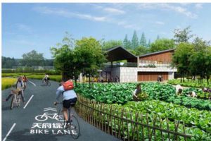 成都市乡村振兴空间发展规划