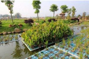 黄冈市州区乡村振兴规划