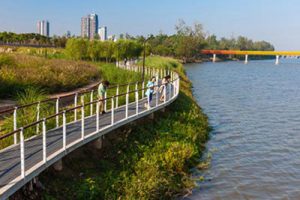 山东省利津县陈庄镇市级乡村振兴示范片区建设规划