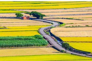 清江绿农浦口区乡村振兴精品线详细规划