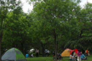 四川开坪乡全益村乡村振兴建设策划