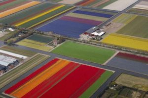 彭州市小石村乡村振兴策划方案