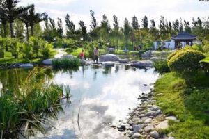 湖北省枝江市乡村振兴战略规划