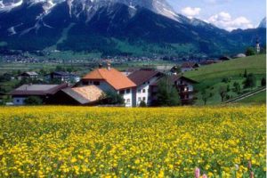 “美丽乡村百户示范村”上牟溪冲村规划