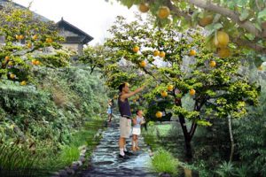 湖南省湘西十八洞村旅游扶贫规划