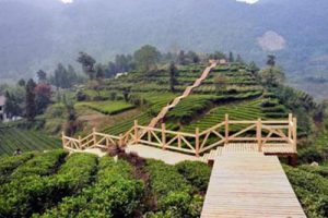 贵州德江县合兴镇朝阳村旅游扶贫规划