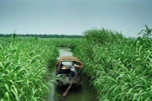 紫星村旅游总体规划