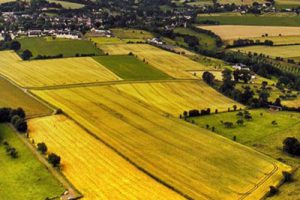 南京美丽乡村江宁示范区规划