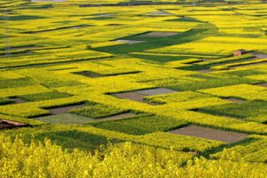 杭州梦想小镇概念规划设计国际竞标中标方案