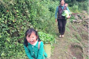 青草乐园计划项目规划