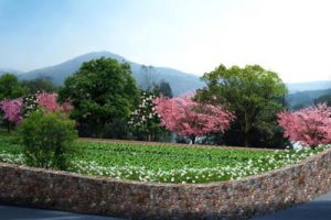 丹阳镇山河行政村上山口中心村建设规划成果