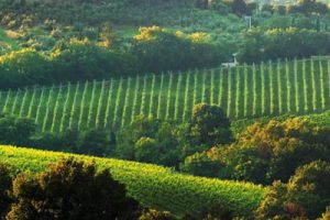 云阳县盘龙休闲旅游发展规划及节点详细规划