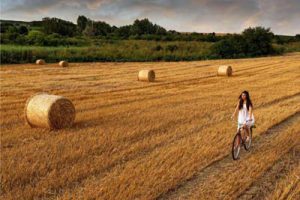 南京江宁示范区红庙美丽乡村规划及景观设计