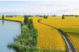 成都天府农博园产业功能区总体规划