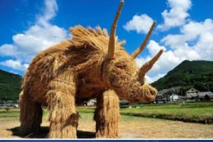 长沙县春华现代农业示范园项目规划