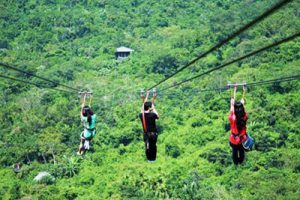 中国三亚凤凰谷乡村文化旅游区概念性规划