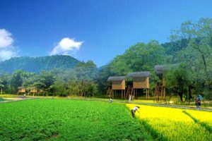 大鹏生态创意农业观光园