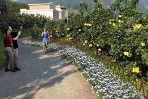 福建省平和县高寨村美丽乡村规划