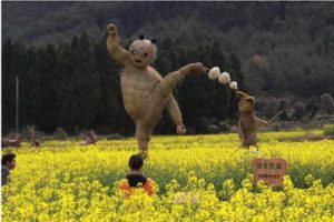 南京美丽乡村江宁示范区规划