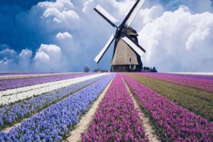 平利县普济村乡村振兴农业科技示范园项目规划