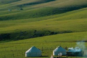 旅游助力中国乡村振兴分析