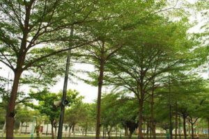 涌口社区特色精品村村庄建设项目规划