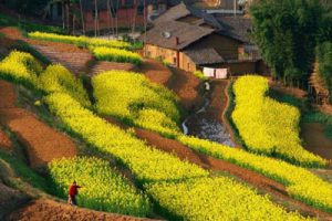 衢江区黄坛口乡黄泥岭村村庄规划项目