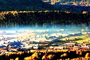 村庄规划实践与案例介绍