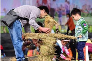 长沙县春华现代农业示范园项目规划